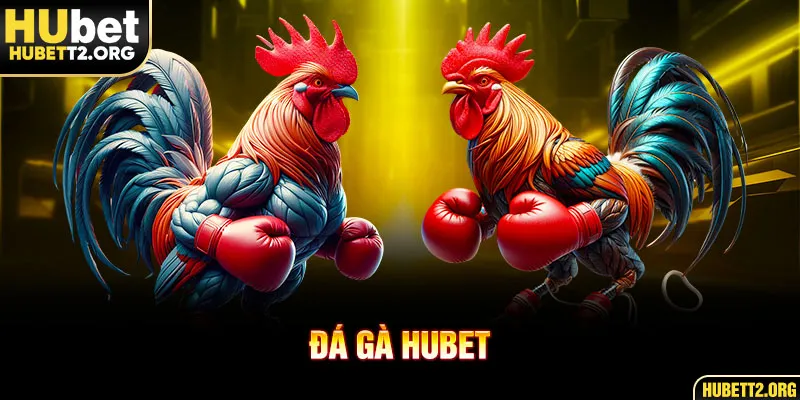 Sơ lược tổng quát về đá gà HUBET Sơ lược tổng quát về đá gà HUBET