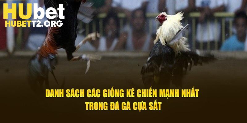 Danh sách các giống kê chiến mạnh nhất trong đá gà cựa sắt. Danh sách các giống kê chiến mạnh nhất trong đá gà cựa sắt.